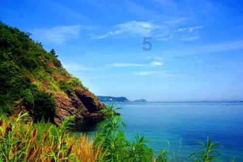 潍坊青州：铆足干劲拼开局 跑出发展加速度